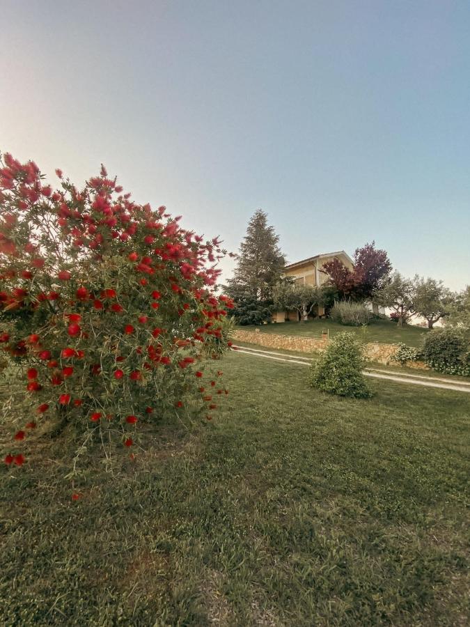 Bed and Breakfast Bed & Breakfast Le Coccinelle Rosciano  Exterior foto